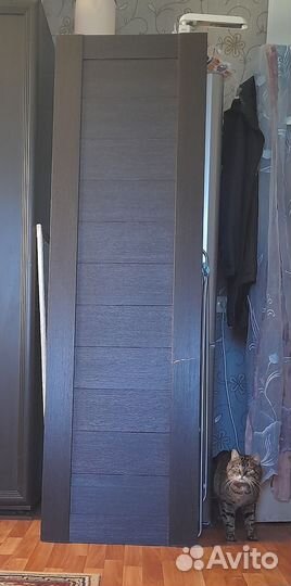 Дверное полотно 60*