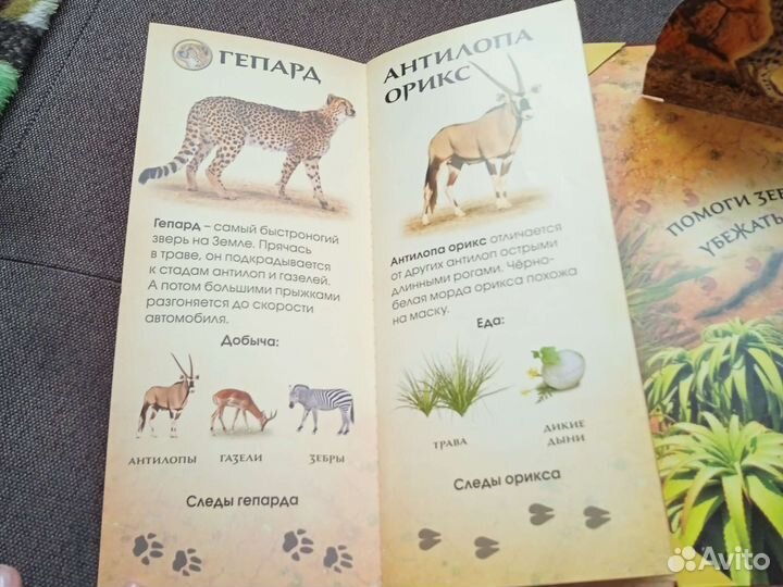 Книга про животных Африки