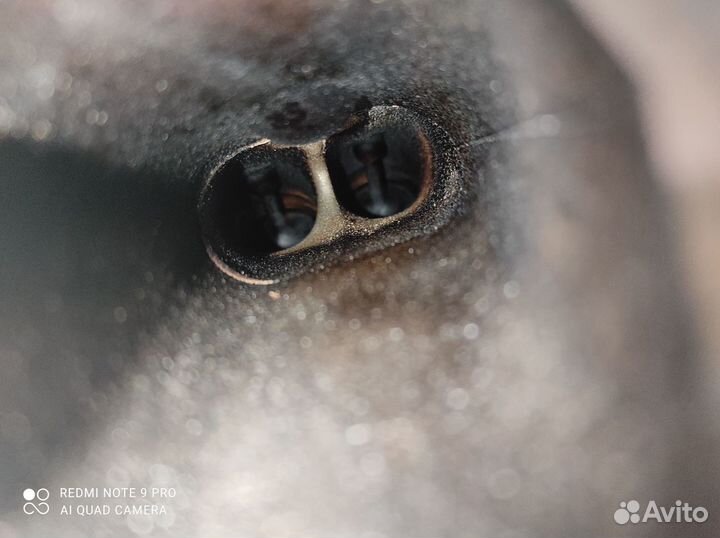 Двигатель Mazda CX 9 2006-2015 3,7л CA