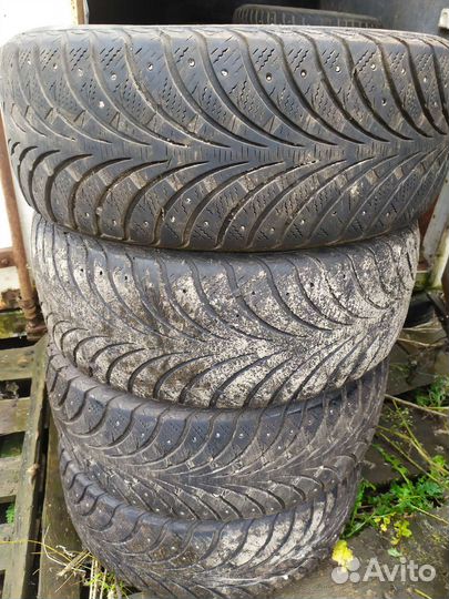 Sava Avant 4 Plus 205/55 R16