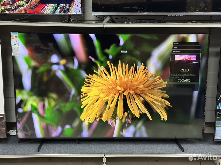 Телевизор Samsung QE75Q60CAU