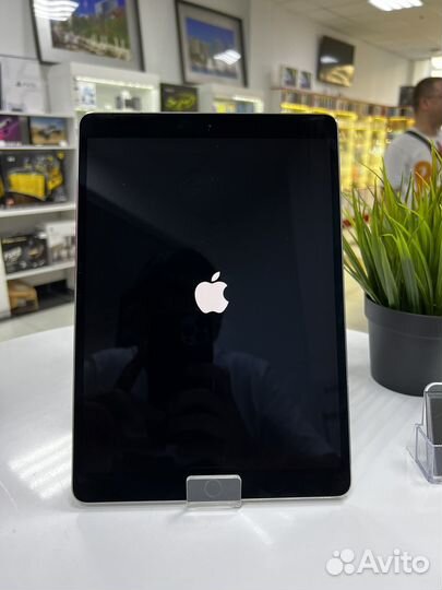 iPad pro 10.5 2017 256 gb