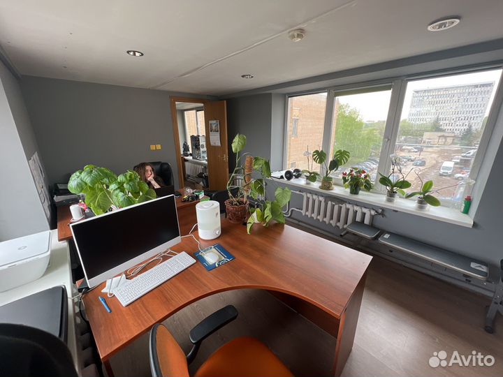 Ассистент руководителя