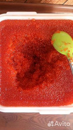 Красная икра 2023 камчатка