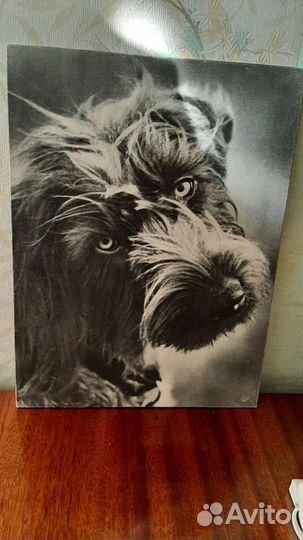 Картина, художественная фотография, чеканка