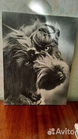 Картина, художественная фотография, чеканка