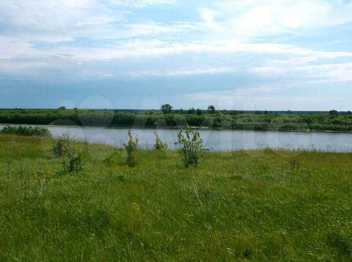 Участок 22 сот. (ИЖС)