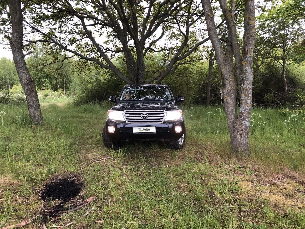 Toyota Land Cruiser: фото владельца