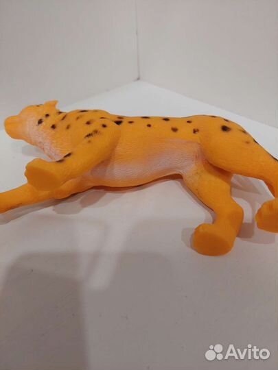 Тигры и львы