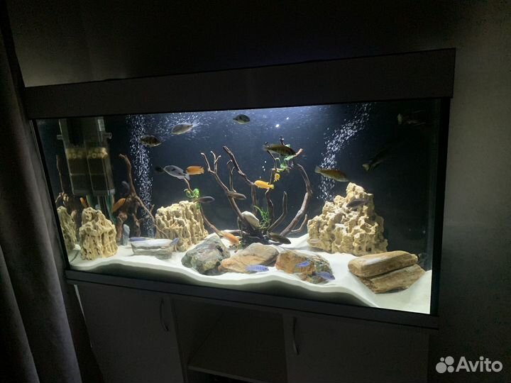 Аквариум с тумбой с рыбками