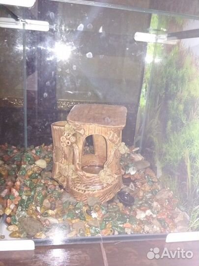 Аквариум 30л