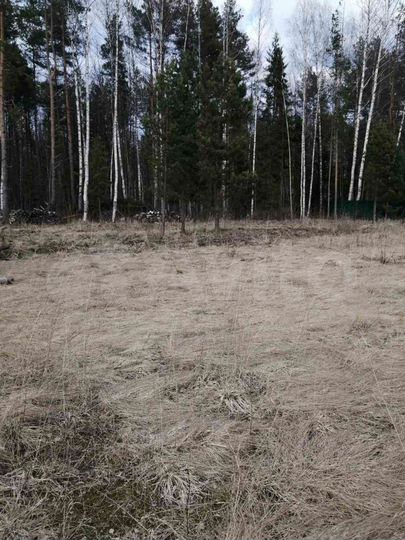 Участок 15 сот. (ИЖС)
