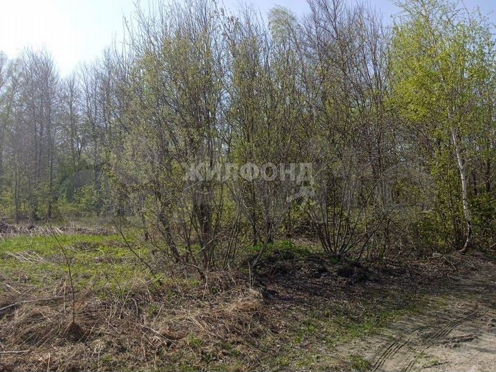 Участок 8 сот. (СНТ, ДНП)