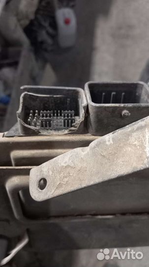 Блок управления эбу peugeot