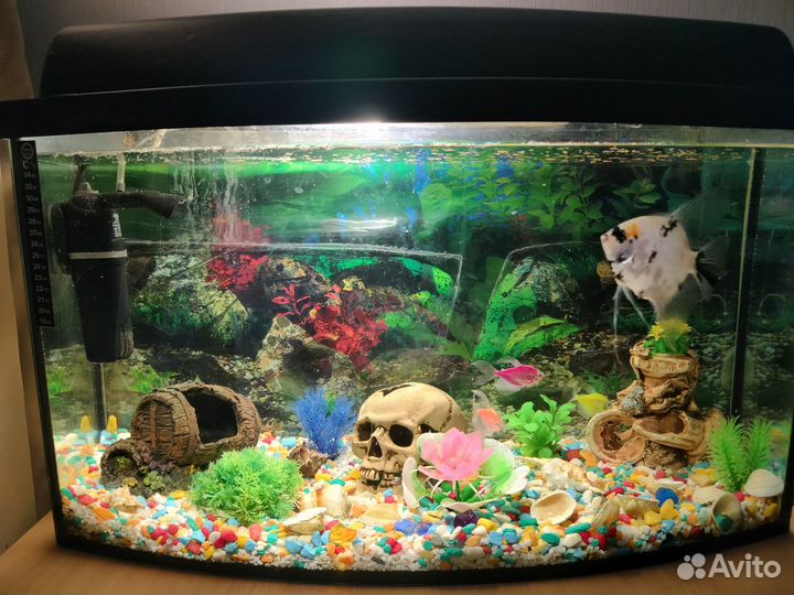 Аквариум с рыбками 50л