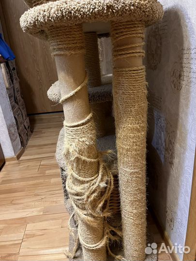 Когтеточка