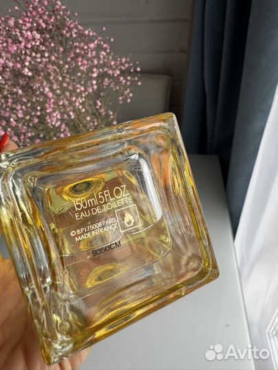 Туалетная вода Orange Dolce&Gabbana