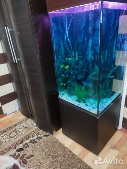 Аквариум с тумбой 180 литров