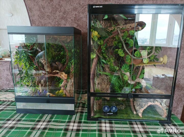 Террариумы под ключ