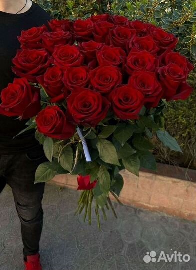 Высокие розы Гигантские Розы 150 160 170 180 190см