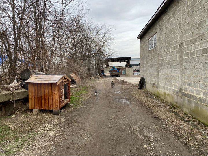 Участок 25 сот. (промназначения)