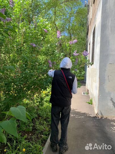 Кроссовки nike Shox tl