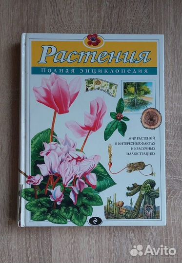 Детские энциклопедии