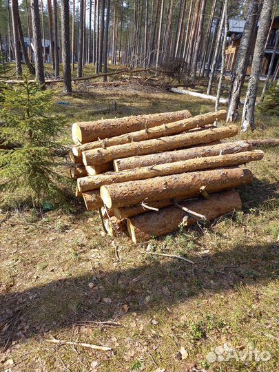Бревна сосновые, сосны целиком