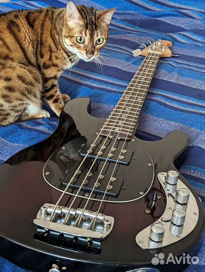 Бас гитара мужик мен