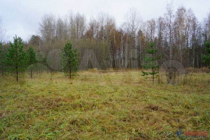 Участок 2,6 га (СНТ, ДНП)