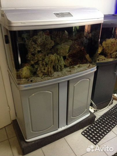 Морские аквариумы 200 и 550 л