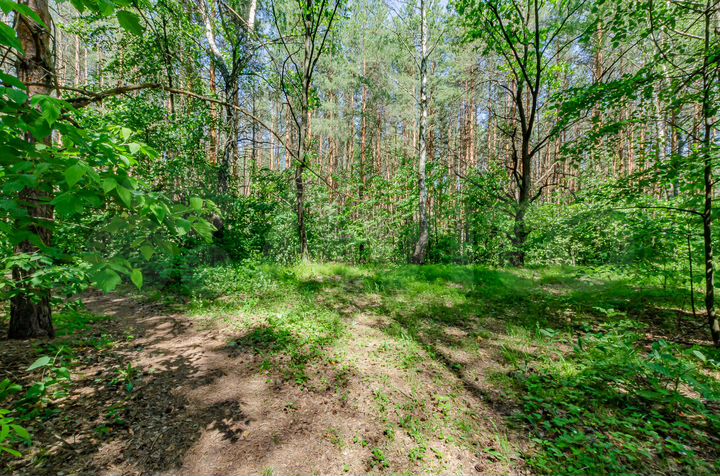 Участок 23 сот. (ИЖС)