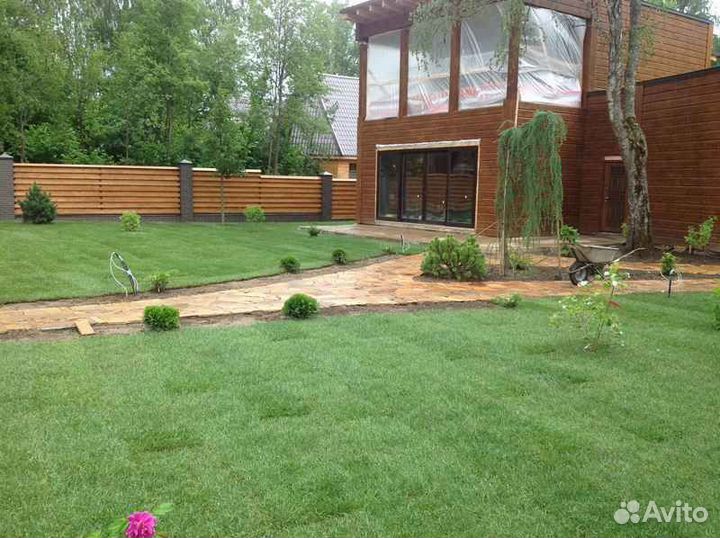 Рулонный газон, укладка, продажа