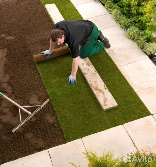 Рулонный газон - производство,доставка,укладка