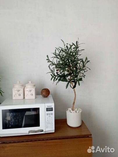 Оливковое дерево