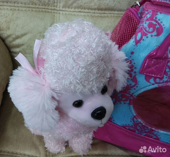 Пудель в сумочке