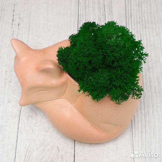 Кашпо лиса со стабилизированным мхом