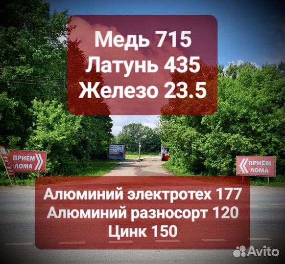 Прокат металлоискателя, Услуги металлоискателя