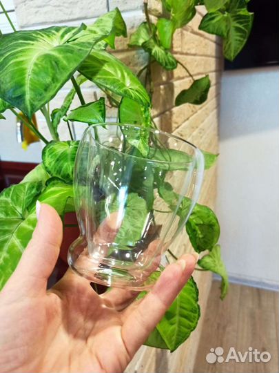 Бокалы с двойными стенками