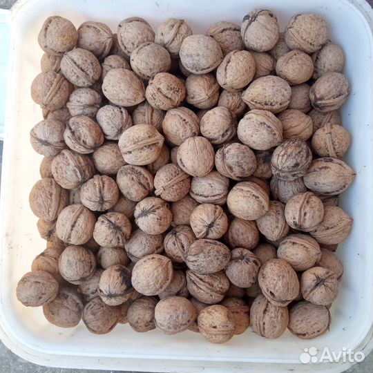 Грецкий орех в скорлупе