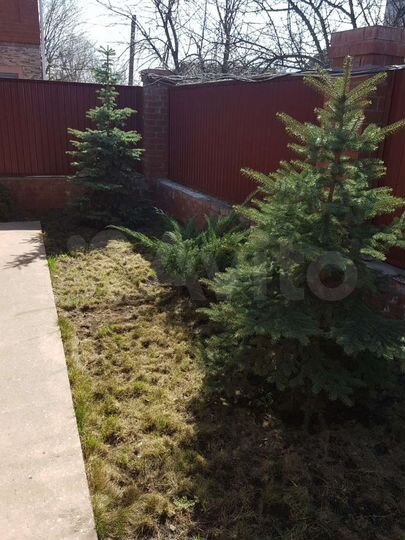 Дом 45 м² на участке 3 сот.