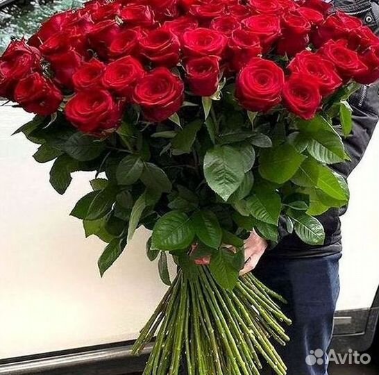 Высокие розы Доставка цветов