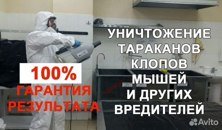Уничтожение клопов тараканов, Демеркуризация ртути