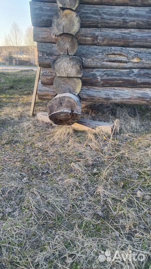 Сруб из бревна