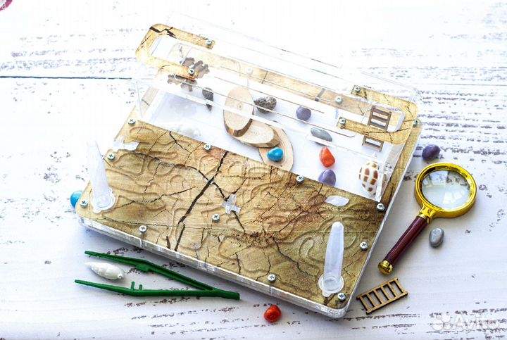 Муравьиная ферма (комплект)