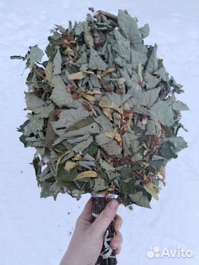 Веники для бани липовые