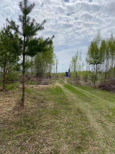 Участок 15 сот. (ИЖС)