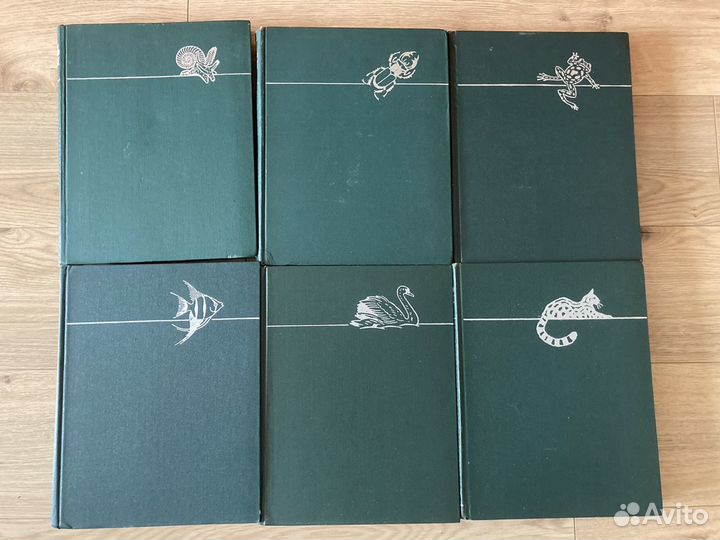 Книги по биологии Книги о комнатных растениях