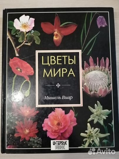 Мишель Виар 