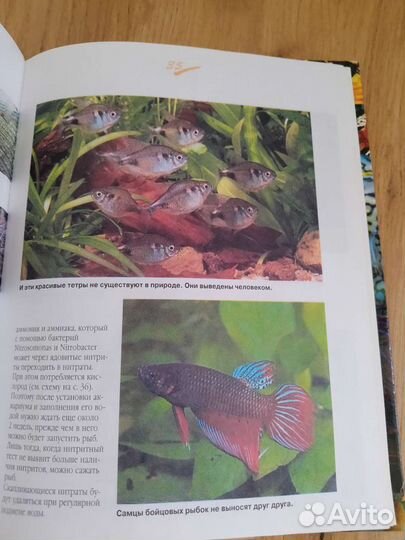 Книги об аквариумных рыбках